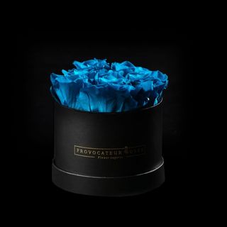 Caja de 12cm con Rosas Preservadas Aquamarine