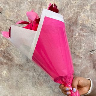 Rosas Fucsias 6 unidades 