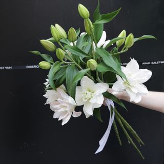 Ramo de 5 Lilium Lotos Blanco