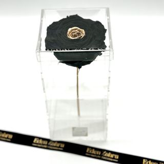 Pure King Black Gold