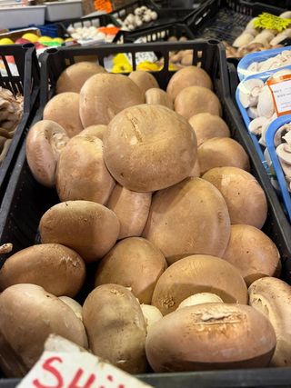 Portobello 250 g
