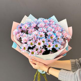 ჰოლანდიური ქრიზანთემა L