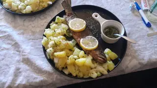 Ugarska pastrmka (autohtona) 1 komad