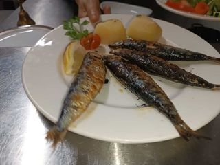 Sardinhas Grelhadas