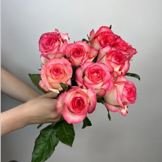 9 біло-рожевих троянд