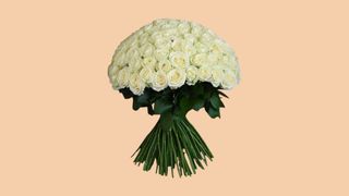 201 თეთრი მელოდია