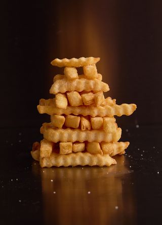 SALTY FRIES