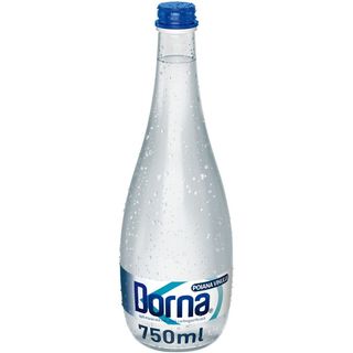 Apă plata - sticla 750ml
