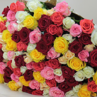 ფერადი ჯუჯა ვარდები (25 ტოტი)