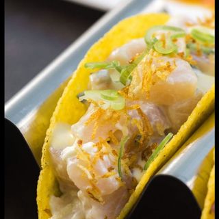 Ricciola Taco (Ricciola,Avocado,Yuzumiso)