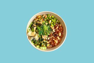 Regular  Pokè Buddha