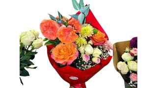 #15 ალისფერი ნათება