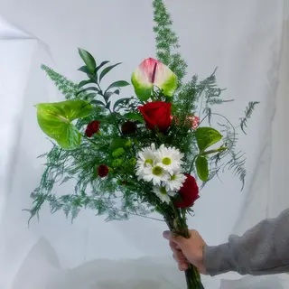EL SILVESTRE