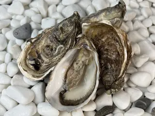 Святий Патрік №2 (6 шт.)