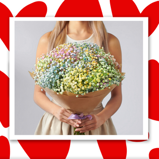 ფერადი გიფსოფილა (15ტოტი)