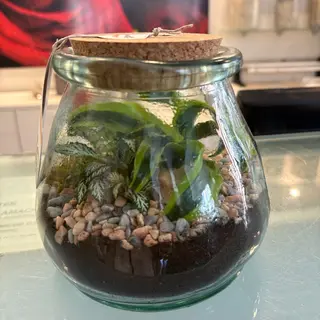 TERRARIO