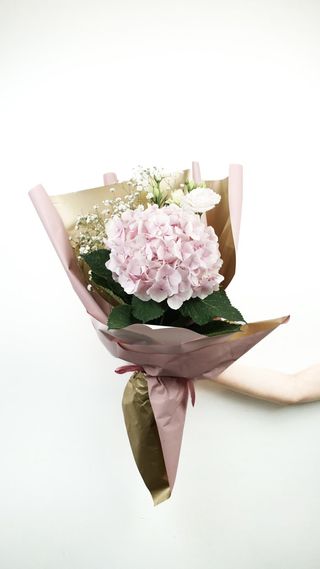 Bukiet Piękna Hortensja niebieska lub różowa