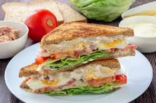 SSándwich vegetal