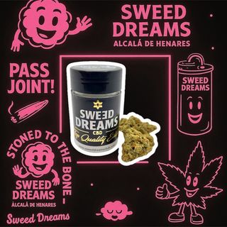 Amnesia Hidropónica Hi-Pro 2,5Gr