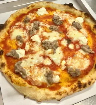 Sarda