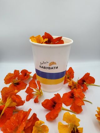 Какао бейліз