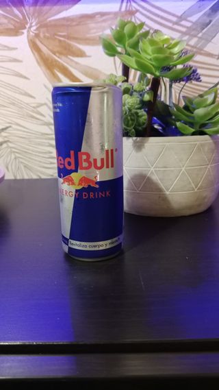 Red Bull (330 Ml.)