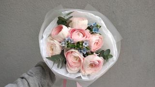 Bukiet Ranunculus - 7 szt