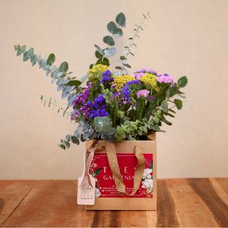 Caja De Siemprevivas