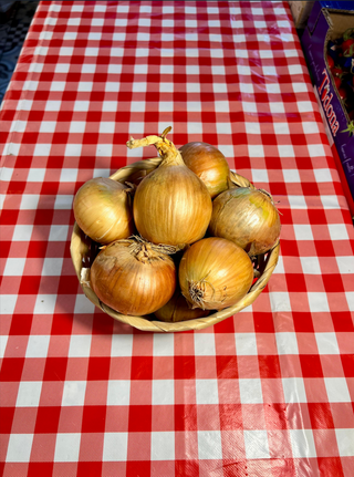 Cipolle dorate - 4 pezzi