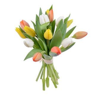 Mix Tulip