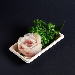 sashimi corvina