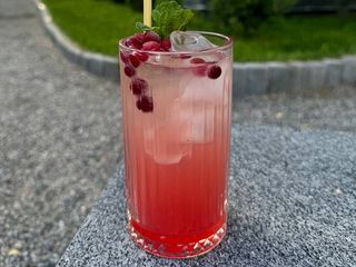 Лимонад Журавлина-Грейпфрут(250мл)