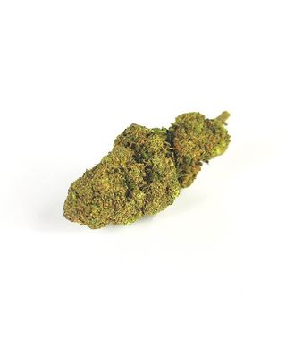 MIMOSA 2Gr.