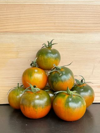 Pomodoro tipo Camone al kg