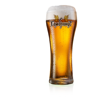 Пиво Гамбрінус (1л)