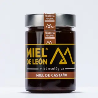 Miel de  León Castaño 800 Grs.