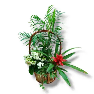 Cesta 