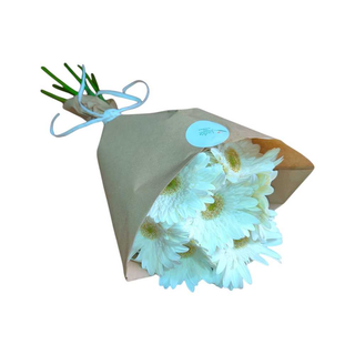 Gerberas Brancas
