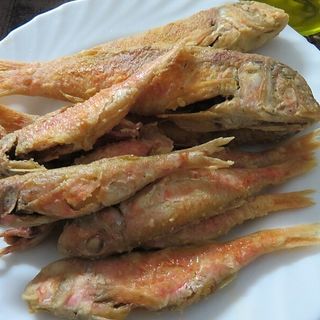Salmonetes De Roca En Fritura