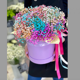 ყუთის გიფსოფილა (Large size)