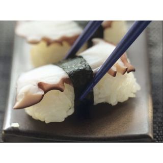 Nigiri Octopus