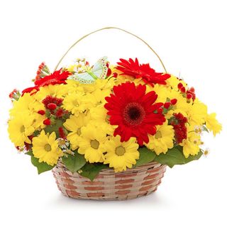Cesto di Margherite e Gerbere ( deluxe ) 