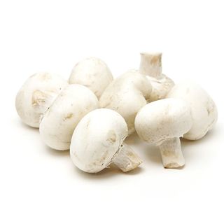 Ciuperci champignon