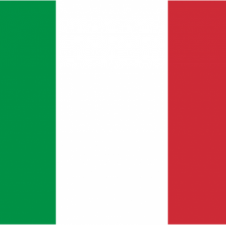 Pizza Prosciutto (33 Cm.)