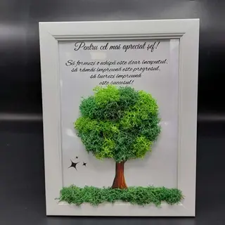 Tablou cu licheni pentru SEF - 15x20