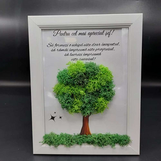 Tablou cu licheni pentru SEF - 15x20