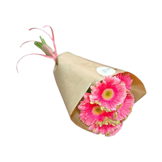 Gerberas Rosa