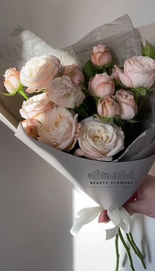 ჯუჯა ვარდი