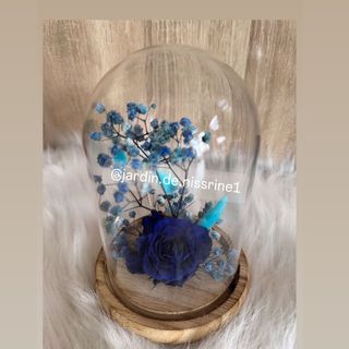 Rose éternelle  Avec fleurs séchée H