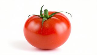 Pomidor